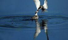 爱的感言句子亲情