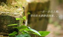 感悟人生的经典句子第十期