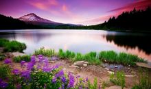 描写风景优美的句子