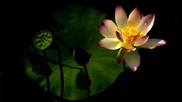 性与爱无法分开