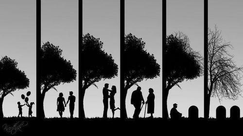    涉及爱情的句子  1