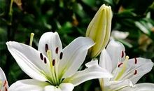 有关亲情关爱的句子