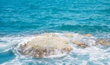 对家庭家人失望的句子说说心情