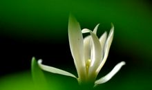 亲情味淡薄的句子