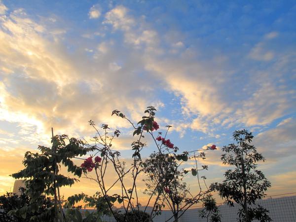 冬天的早晨很美