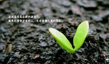 逆境成就人生的名言