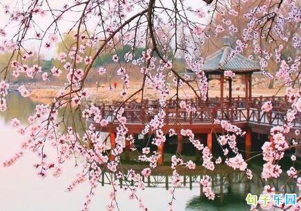 我喜欢阳光明媚的早晨