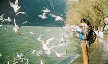 心痛朋友的句子说说心情