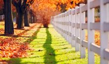 现在的生活不是我想要的说说