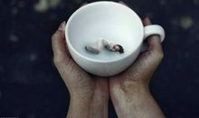 表达对一个失望的句子说说心情