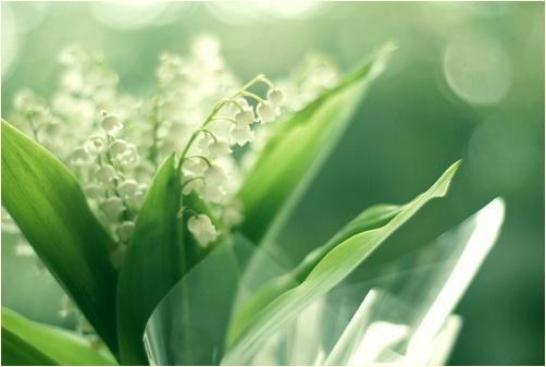 而是……你知道自己会受到伤害