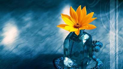 放开一颗陷入困境的心会带来宁静