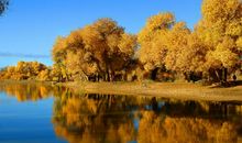 学习励志句子2020精选