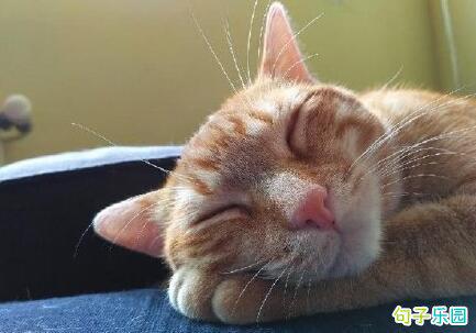 明天是每年的感恩节