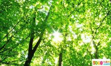 淡定的心情说说