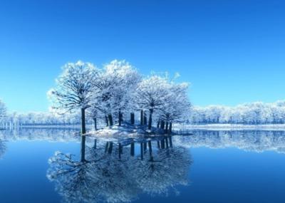 诚信是人的代价