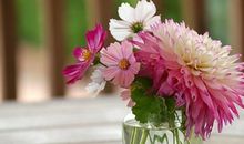 张爱玲写亲情的句子