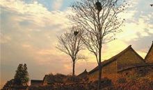 描写环境美的句子