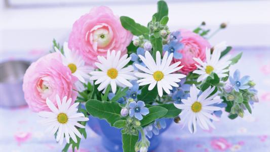 她的文章赢得了所有人的喜爱