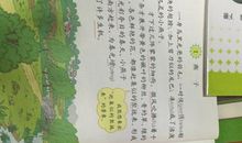 描写燕子样子的句子