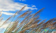 向抗疫英雄致敬句子