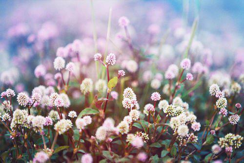 让我们选择一个句子来表达自己的心情