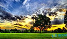 致敬英雄的句子