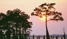 给顾客下雨天问候短信