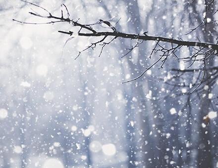 让我们来看看编辑所编的关于开心看到雪花的句子