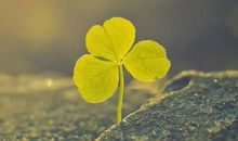 关于对人生感悟的句子