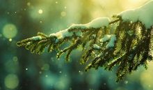 失去人生哲理句子