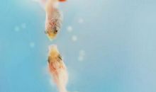 人生朋友感悟句子大全