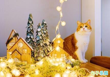 浪漫的圣诞节将在几天之内到来