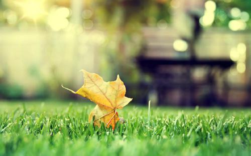 放开莫名其妙的烦恼