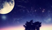 幸福人生感悟的句子