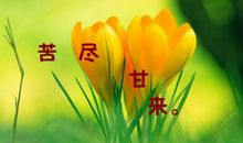 关于人生感悟的诗句汇总