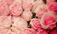 关于母亲节的句子简短