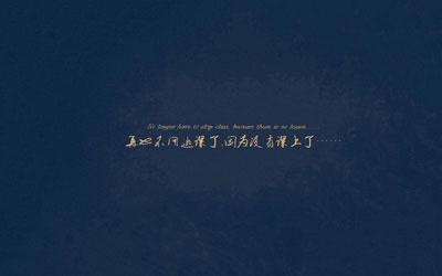 只是不想承认这一点