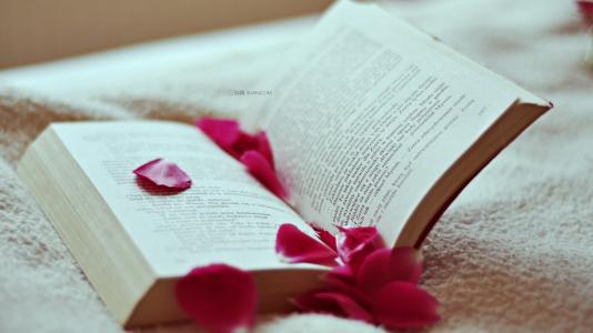 母亲的爱是一条取之不尽