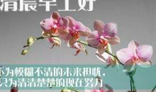 2019年最新好心情语录