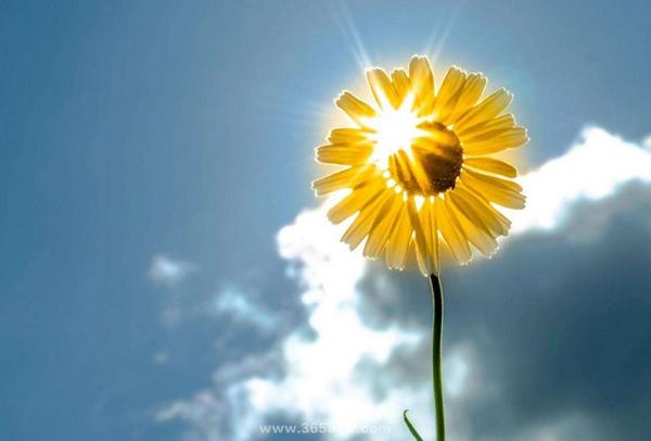 这是非常可喜的