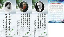 赞美残疾人的名言