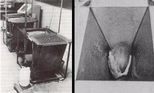 但您无法感觉到疼痛