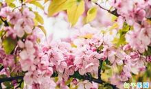 妇女节祝贺词 三八妇女节寄语