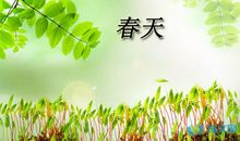 春天看花的朋友圈句子