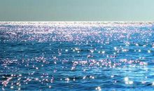 精致优美的句子 优美简短说说