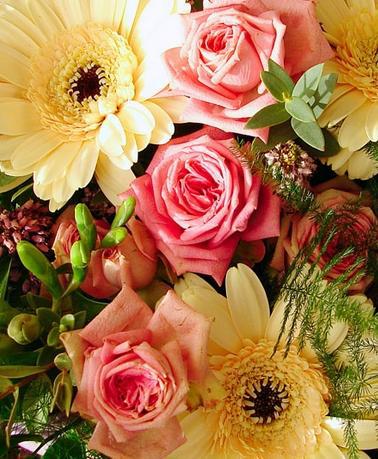   梦见美丽的花朵