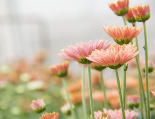 对生活感到遗憾是正常的