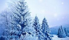 描写冬天的优美片段