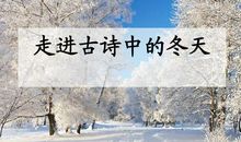 描写冬景的诗句有哪些